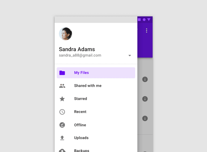 Flutter widgets support material design - Learn flutter step by step